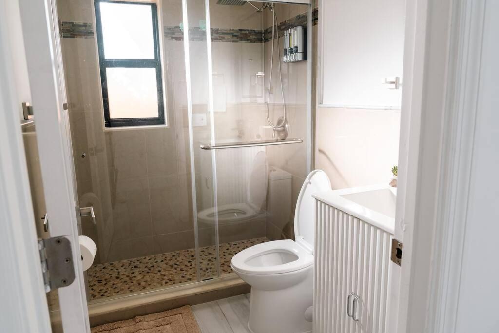 הוילה מיאמי Luxury Retreat 3B ,2Ba Pool , Coral Gables Center מראה חיצוני תמונה